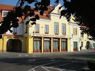 Hotel Traube Mediaş Exterior foto